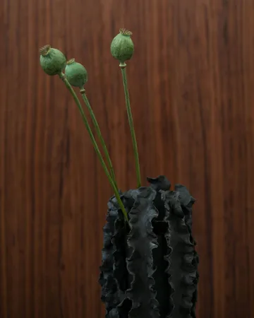 Melera βάζο - Black, 33x16 εκ. - Tinted