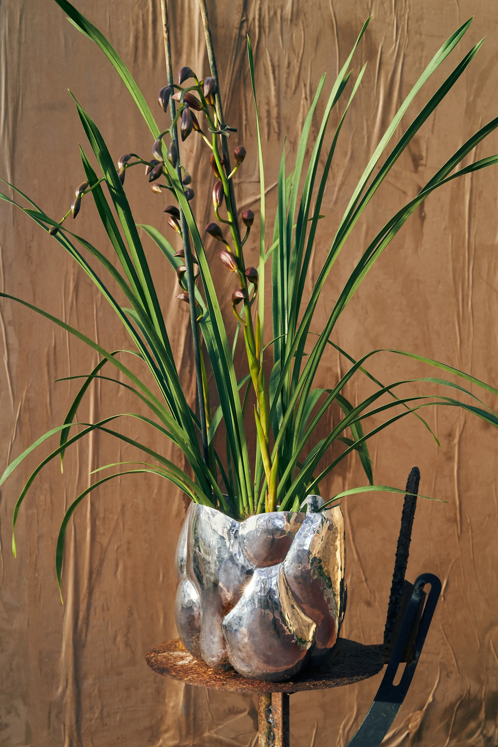 Cloud βάζο χαμηλό, Silver Tom Dixon