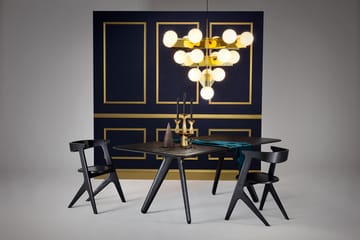 Slab τραπεζαρία 96x200 cm - Black oak - Tom Dixon