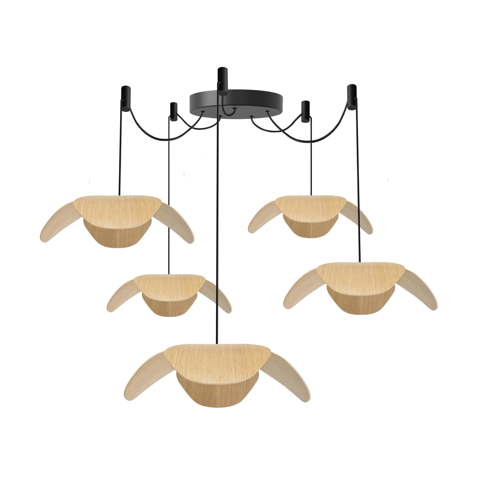 Forget Me Not φωτιστικό οροφής large, Ομάδα βελανιδιάς 5 Umage