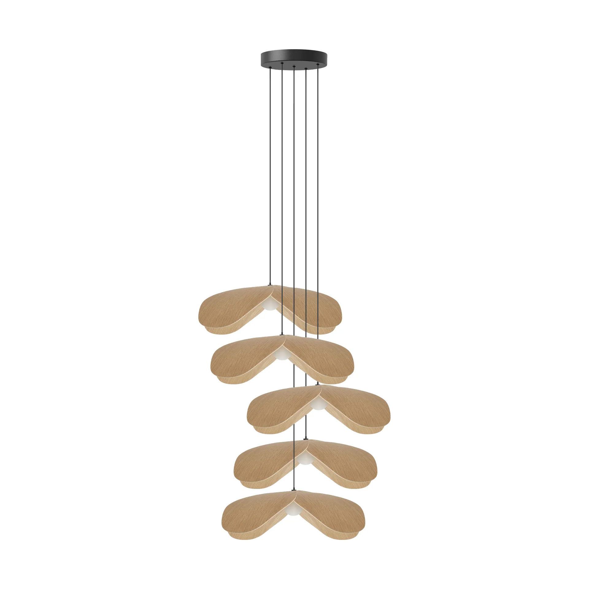 Forget Me Not φωτιστικό οροφής large, Ομάδα βελανιδιάς 5 Umage