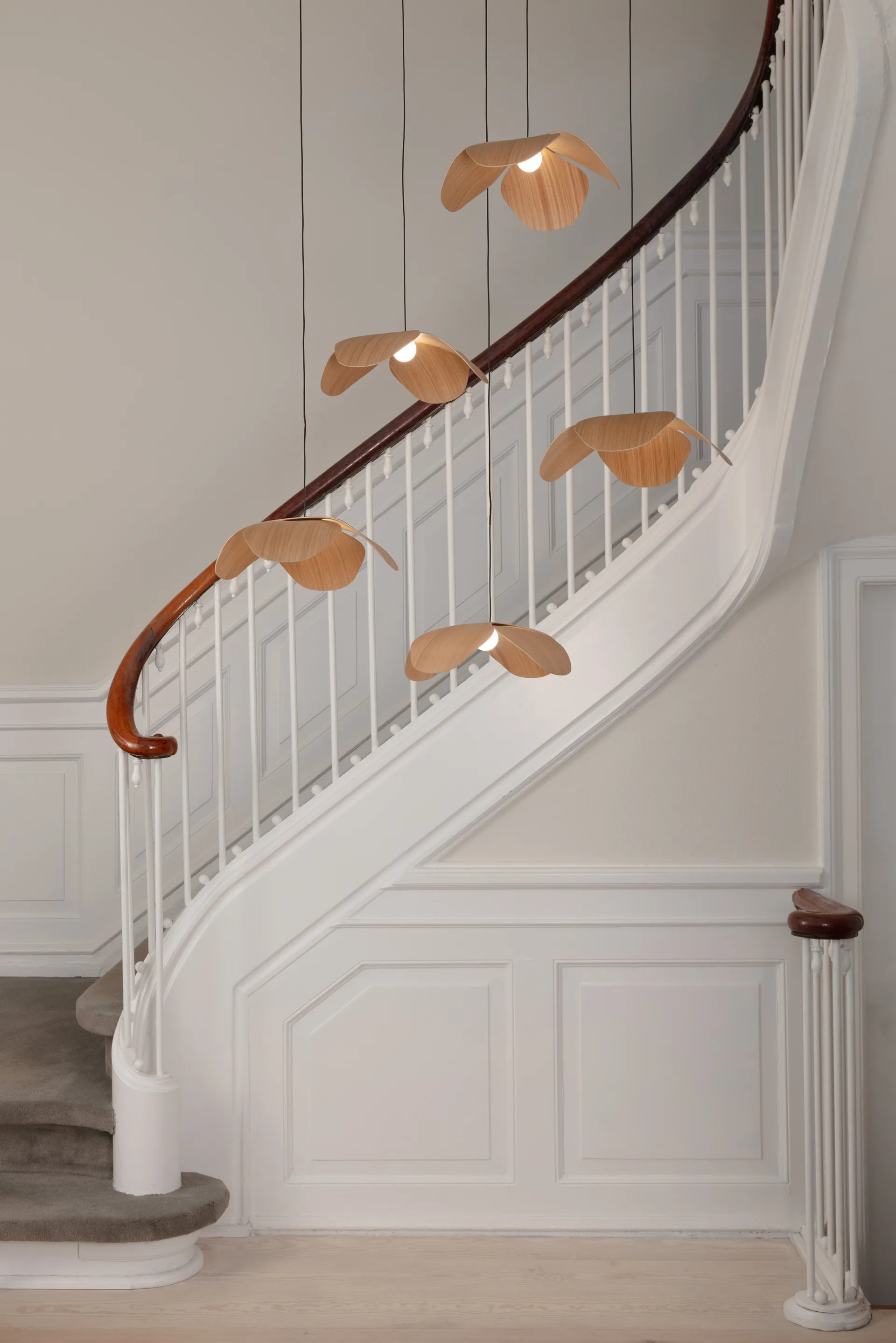 Forget Me Not φωτιστικό οροφής large, Ομάδα βελανιδιάς 5 Umage