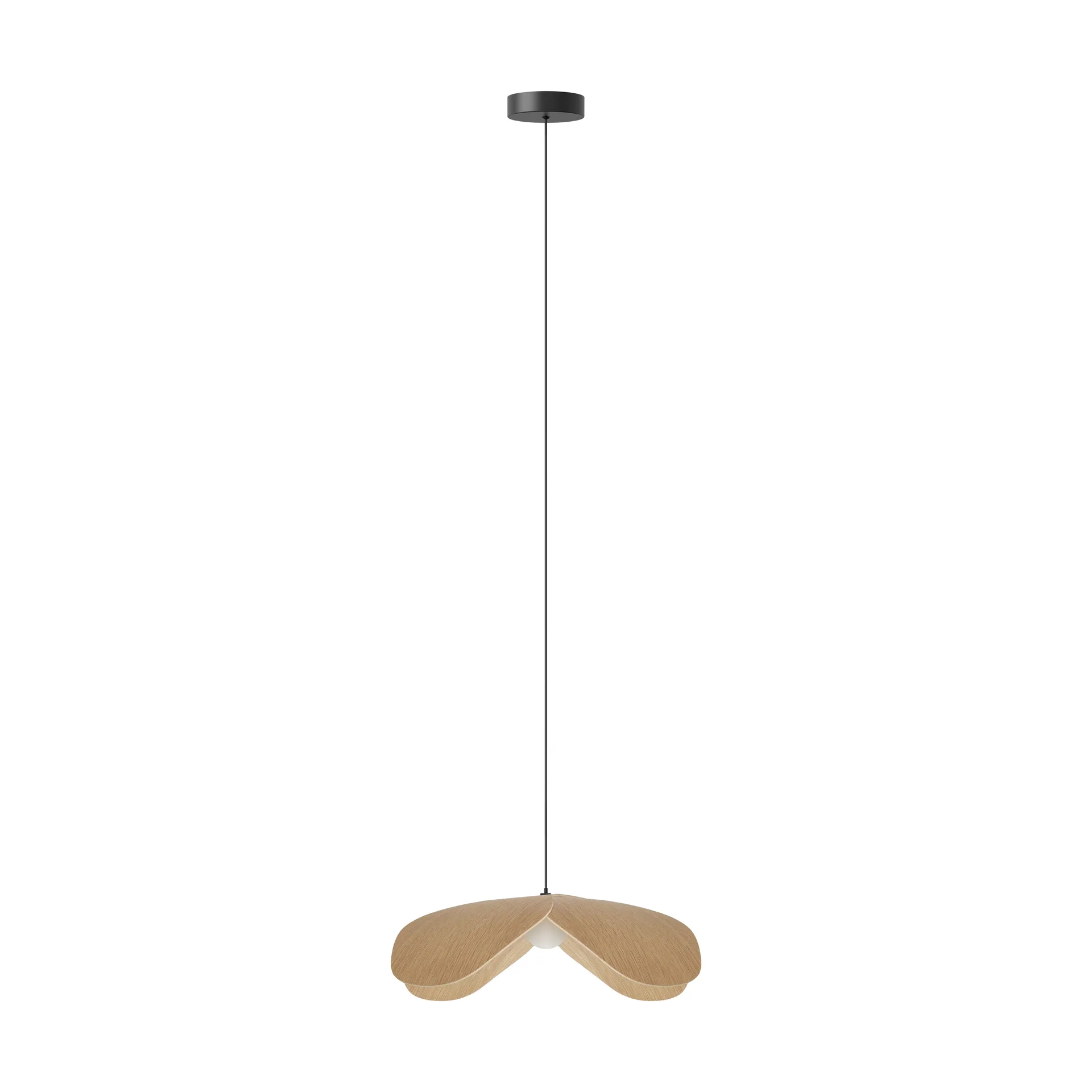 Forget Me Not φωτιστικό οροφής large, Βελανιδιά Umage