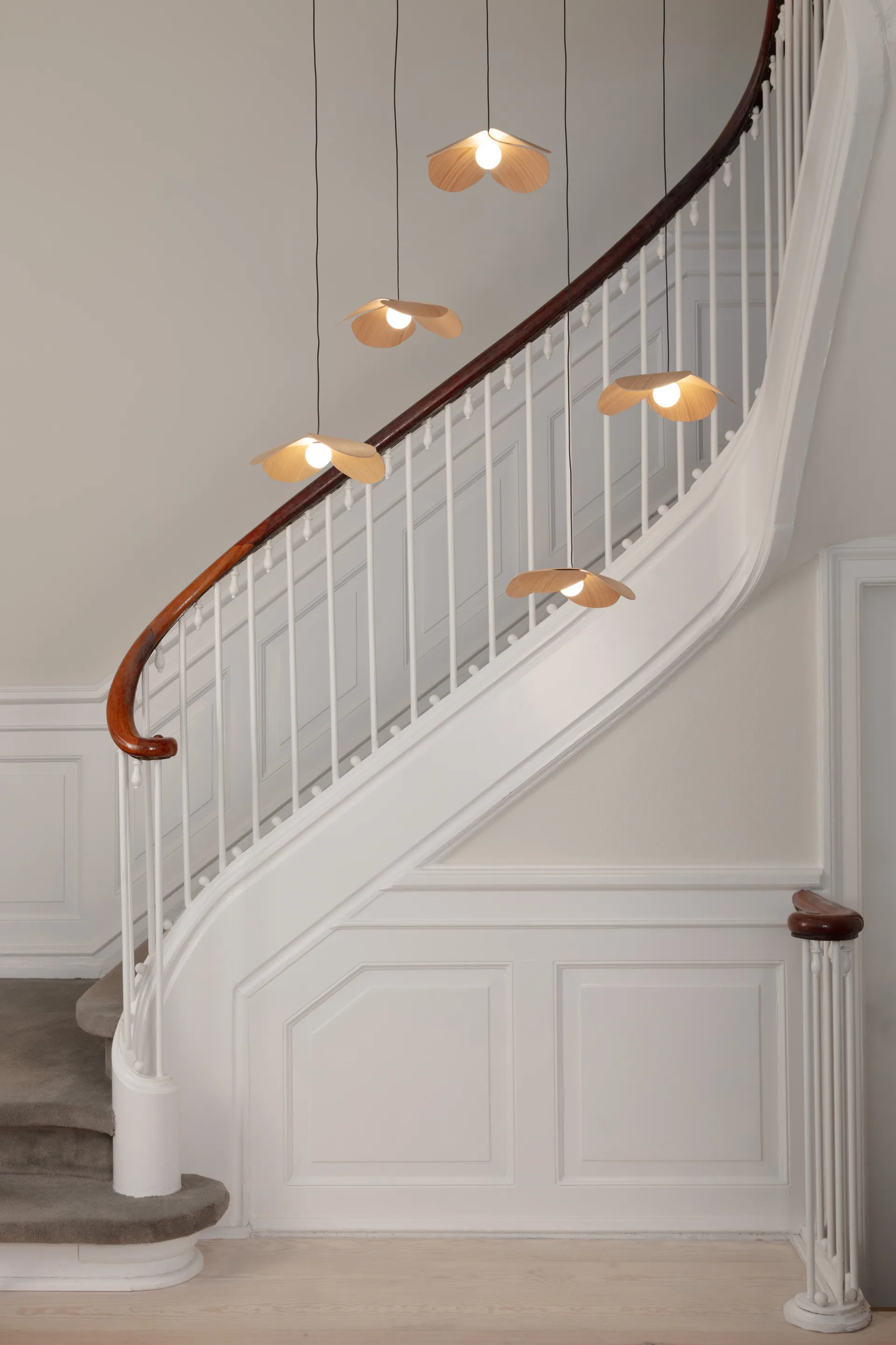 Forget Me Not φωτιστικό οροφής medium, Ομάδα βελανιδιάς 5 Umage