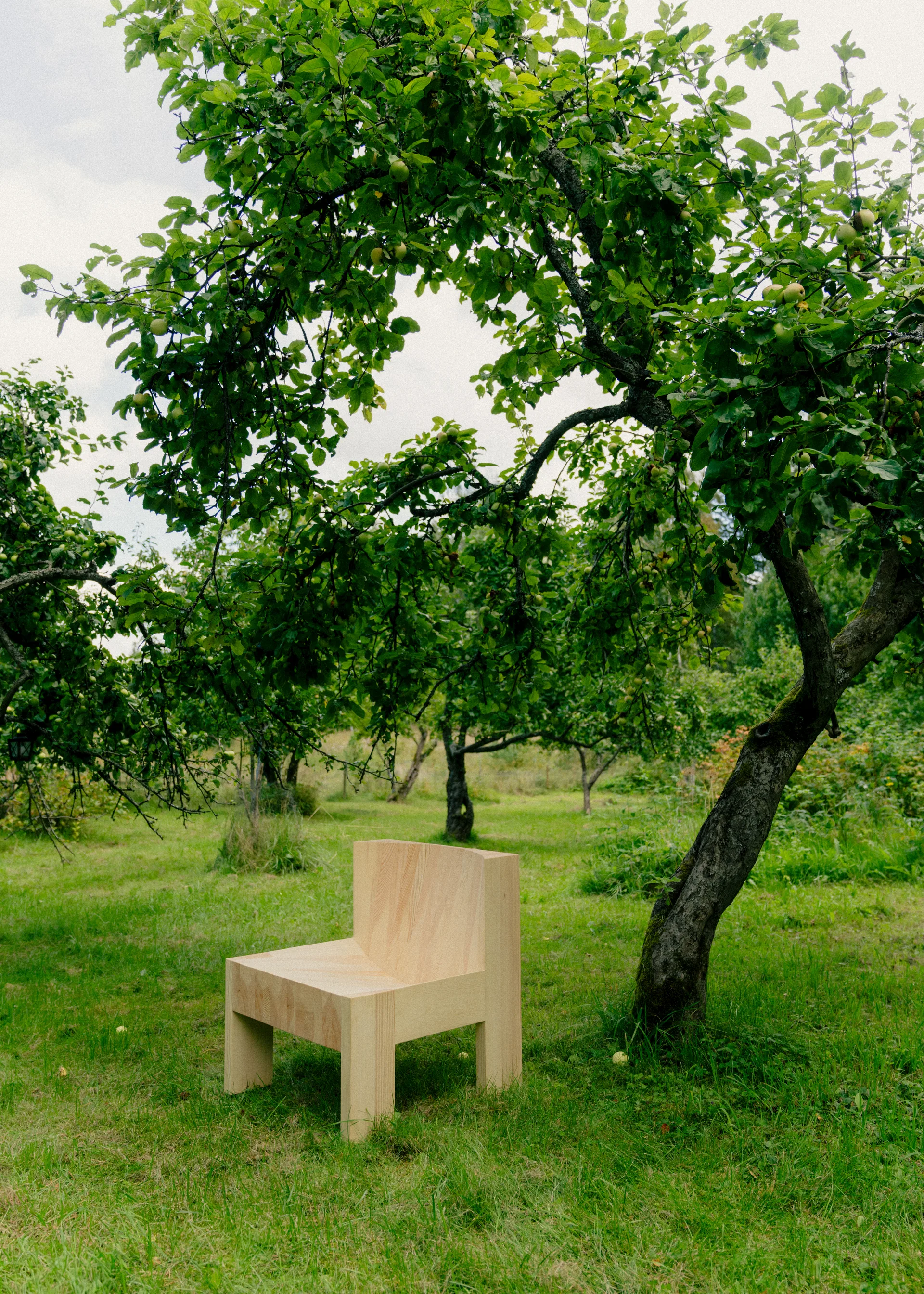 005 Lounge Chair πολυθρόνα lounge, Ματ ελαιωμένο κερωμένο πεύκο Vaarnii