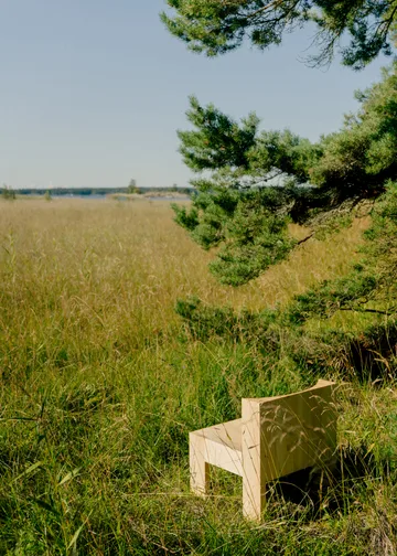 005 Lounge Chair πολυθρόνα lounge - Ματ ελαιωμένο κερωμένο πεύκο - Vaarnii