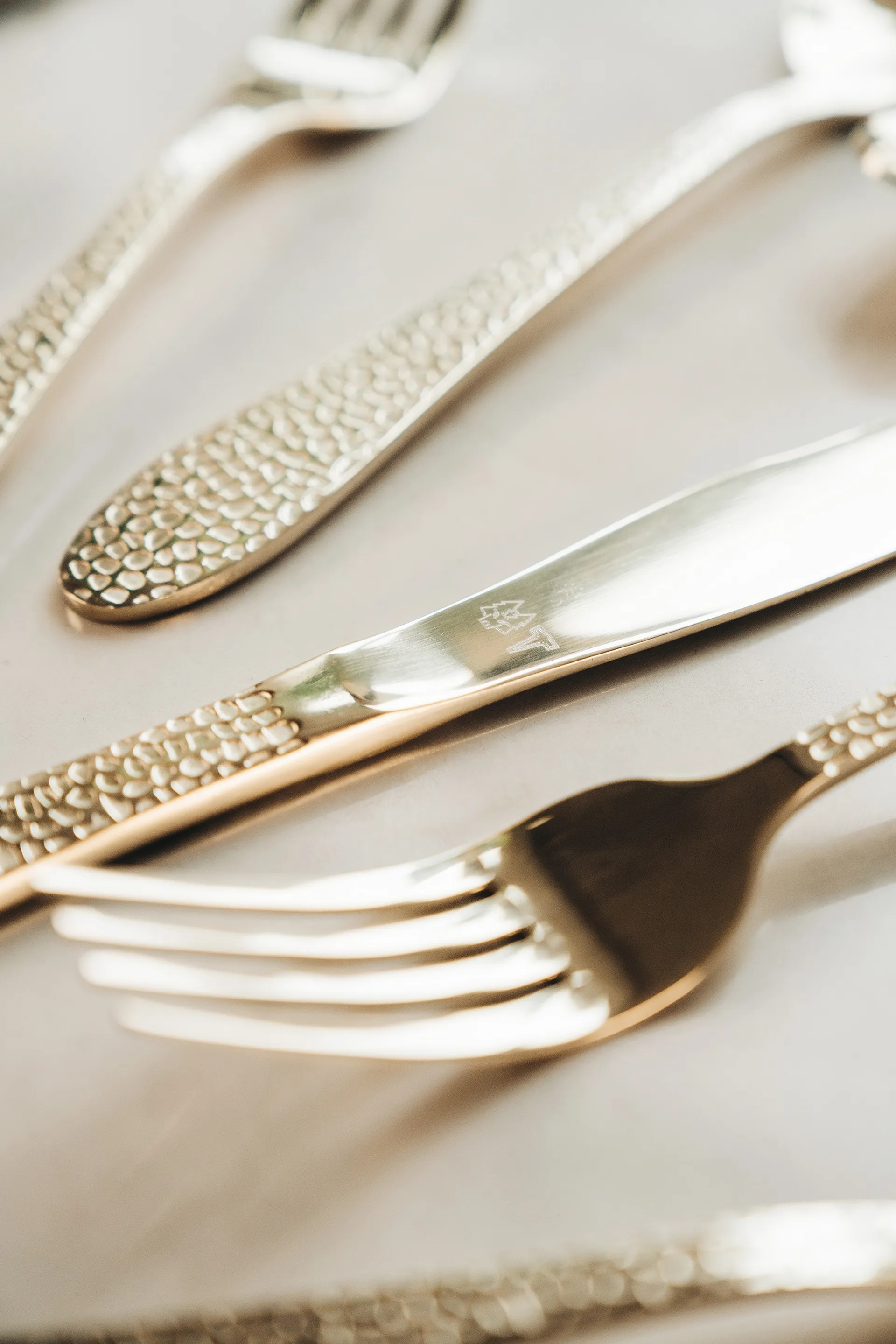 Vargen & Thor μαχαιροπίρουνα 16 τεμάχια, Aura. cava Vargen & Thor