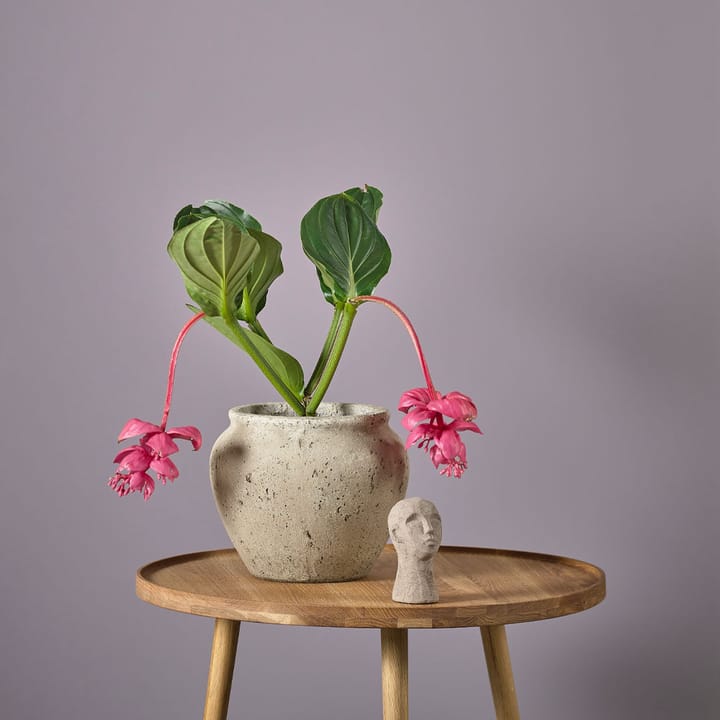 Loev γλάστρα, Γκρι, μεσαίο Ø30.5 cm Villa Collection