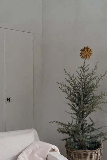 Nova αστέρι για χριστουγεννιάτικο δέντρο Ø20 cm - Χρυσαφί - Watt & Veke