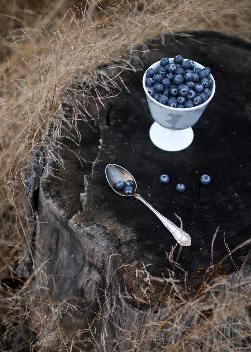 Alv μπολ επιδορπίου με βάση Ø11 cm, Ασημί Wik & Walsøe