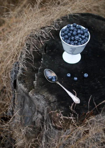 Alv μπολ επιδορπίου με βάση Ø11 cm - Ασημί - Wik & Walsøe