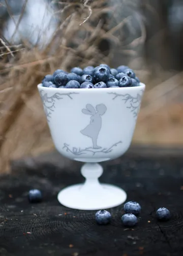 Alv μπολ επιδορπίου με βάση Ø11 cm - Ασημί - Wik & Walsøe