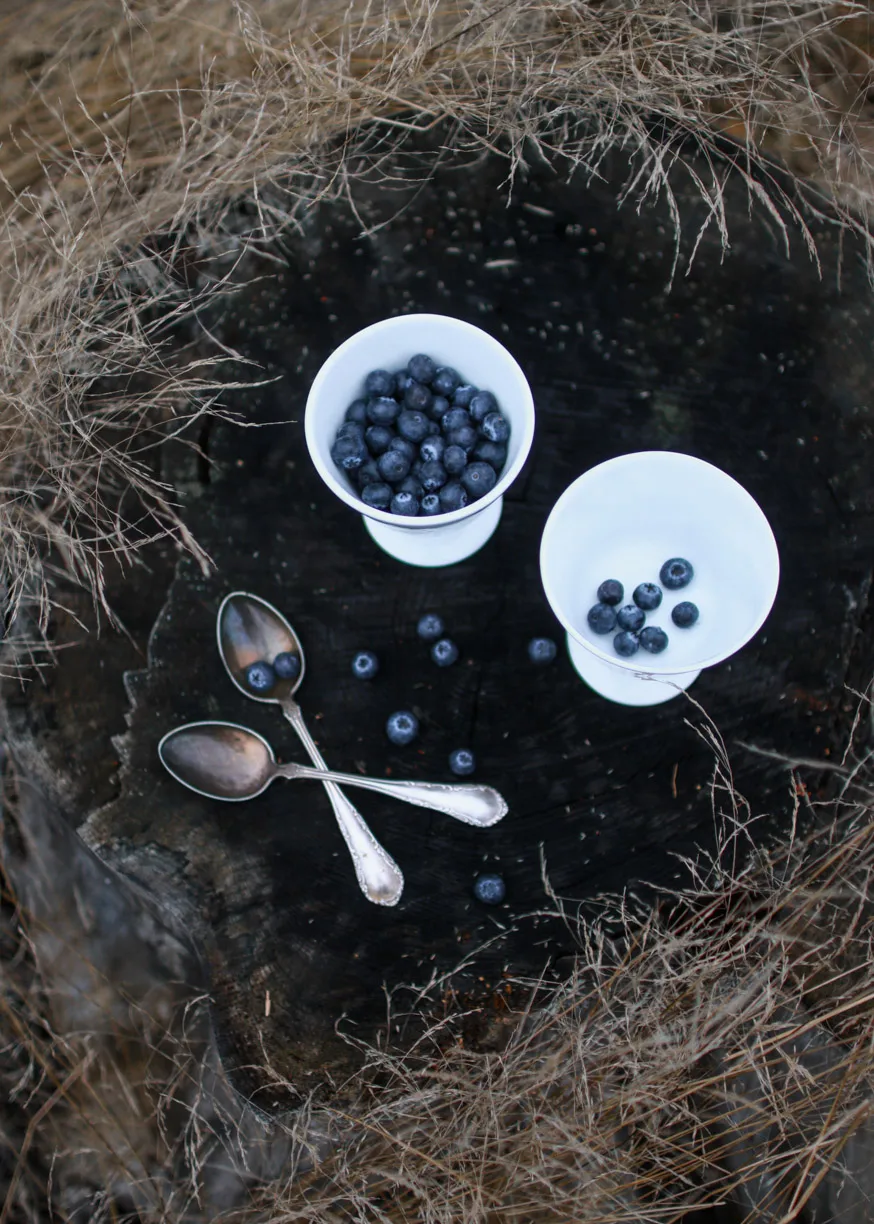 Alv μπολ επιδορπίου με βάση Ø11 cm, Ασημί Wik & Walsøe