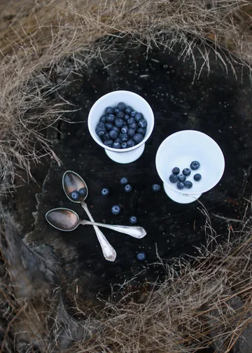 Alv μπολ επιδορπίου με βάση Ø11 cm - Ασημί - Wik & Walsøe