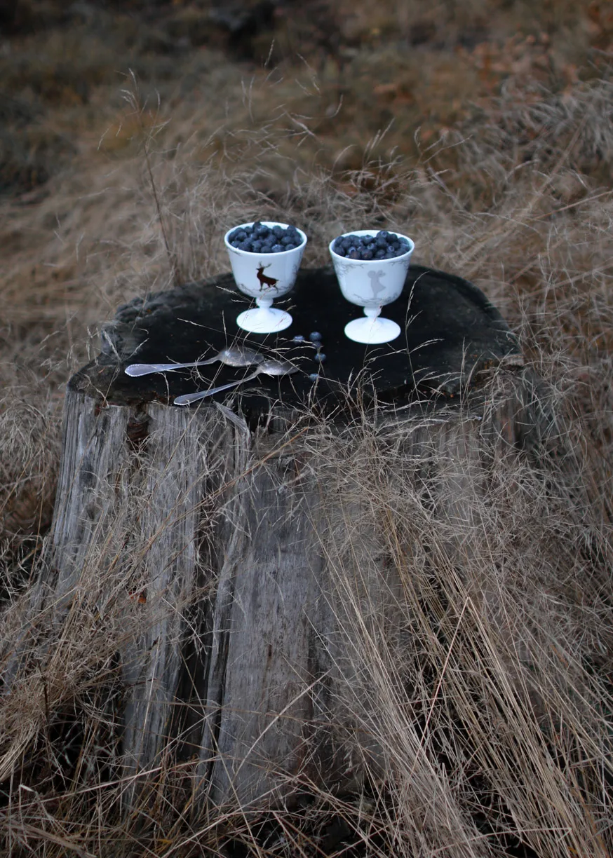 Alveskog μπολ επιδόρπιου με βάση Ø11 cm, Λευκό Wik & Walsøe