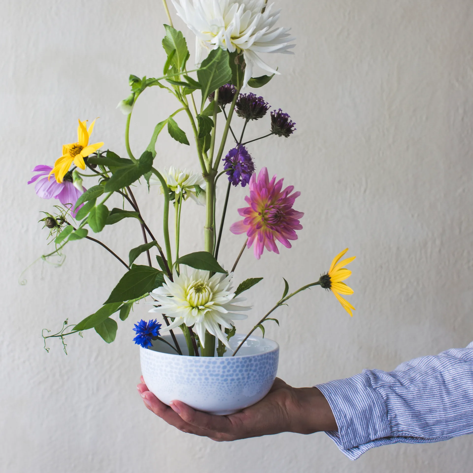 Osean μπολ 50 cl, Ωκεανός Wik & Walsøe