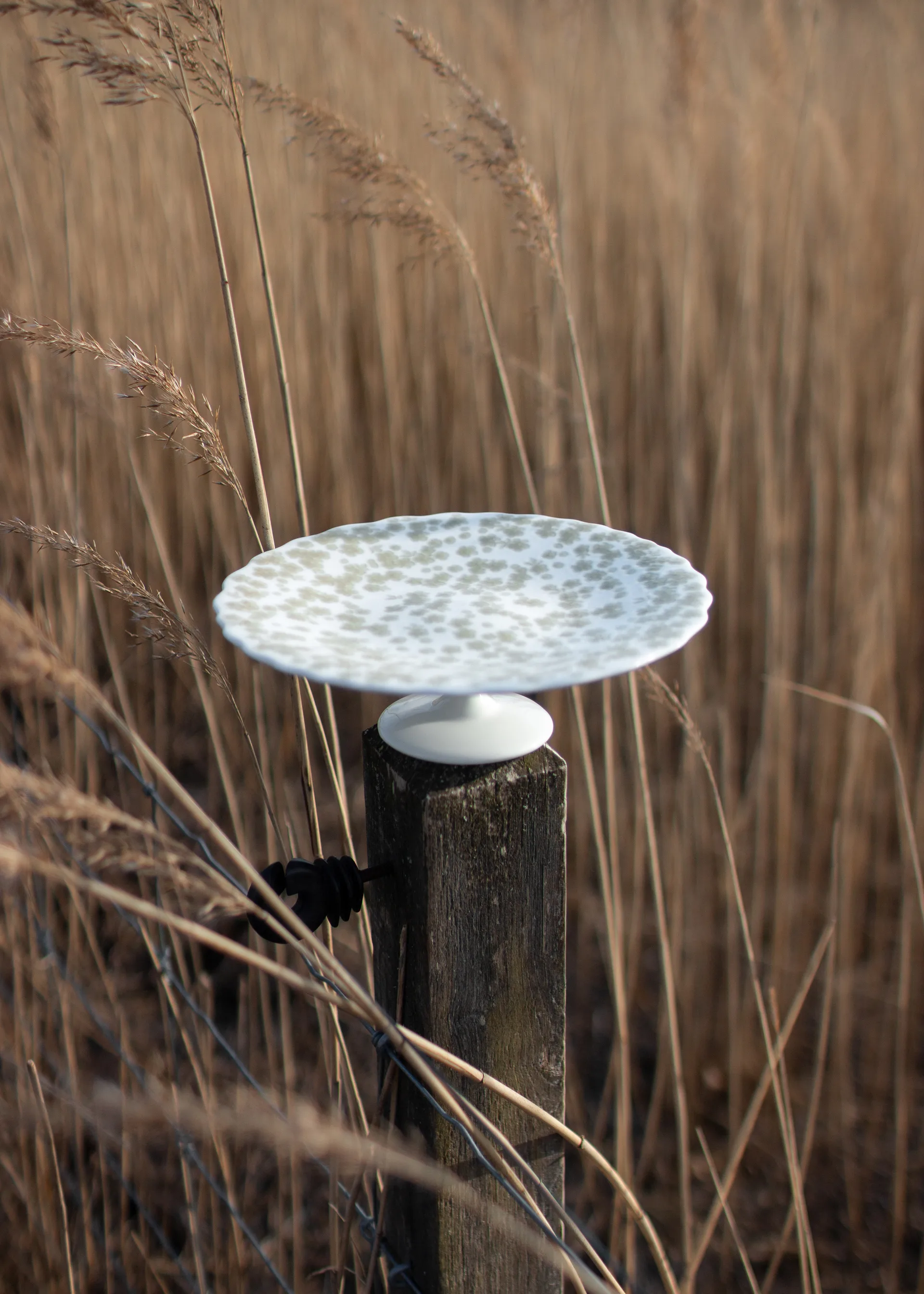 Slåpeblom πιατέλα κέικ Ø 21 cm, Πράσινο Wik & Walsøe