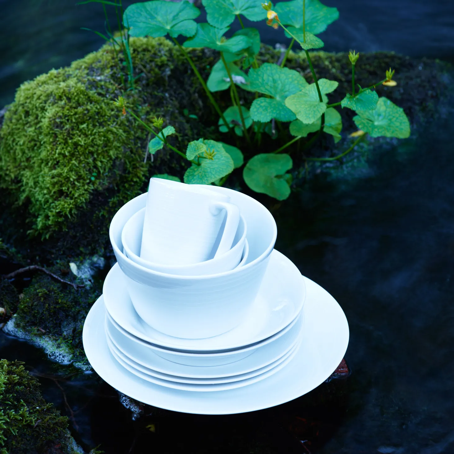 Whitewood πιάτο, 21 cm Wik & Walsøe