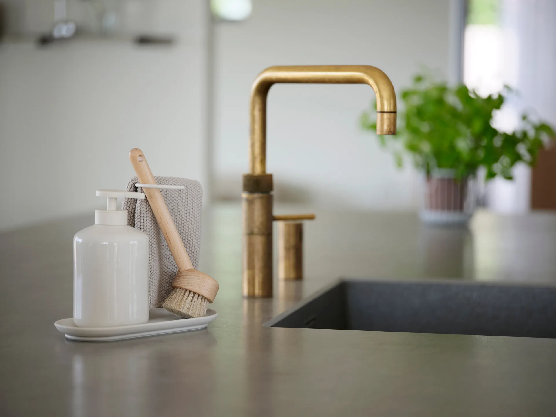 Βούρτσα πιάτων Inu, Beech Zone Denmark