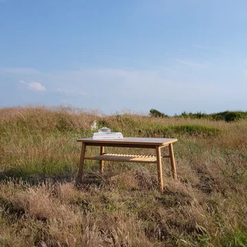 Τραπεζάκι του καφέ, Mino - Δρυς - Zweed